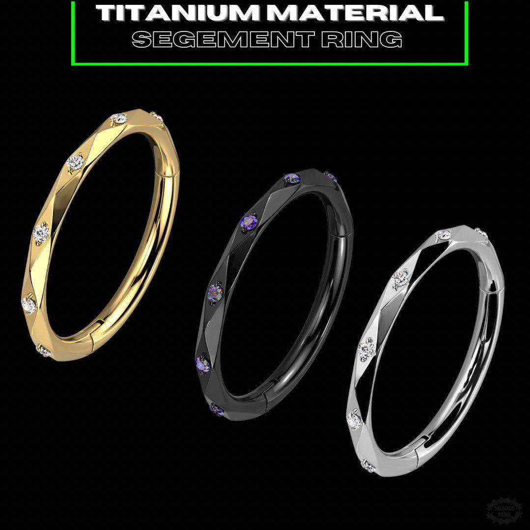 IMPLANT TITANIUM CZ SEGMENT RING-Vicious Punx-Vicious Punx