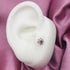 SPIDER WEB THREADLESS FLAT BAR - TRAGUS/LIP/EAR-Vicious Punx-Vicious Punx