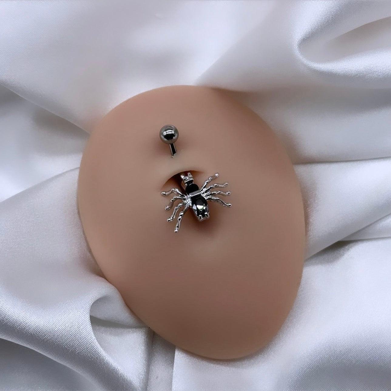 SPIDER BELLY BAR