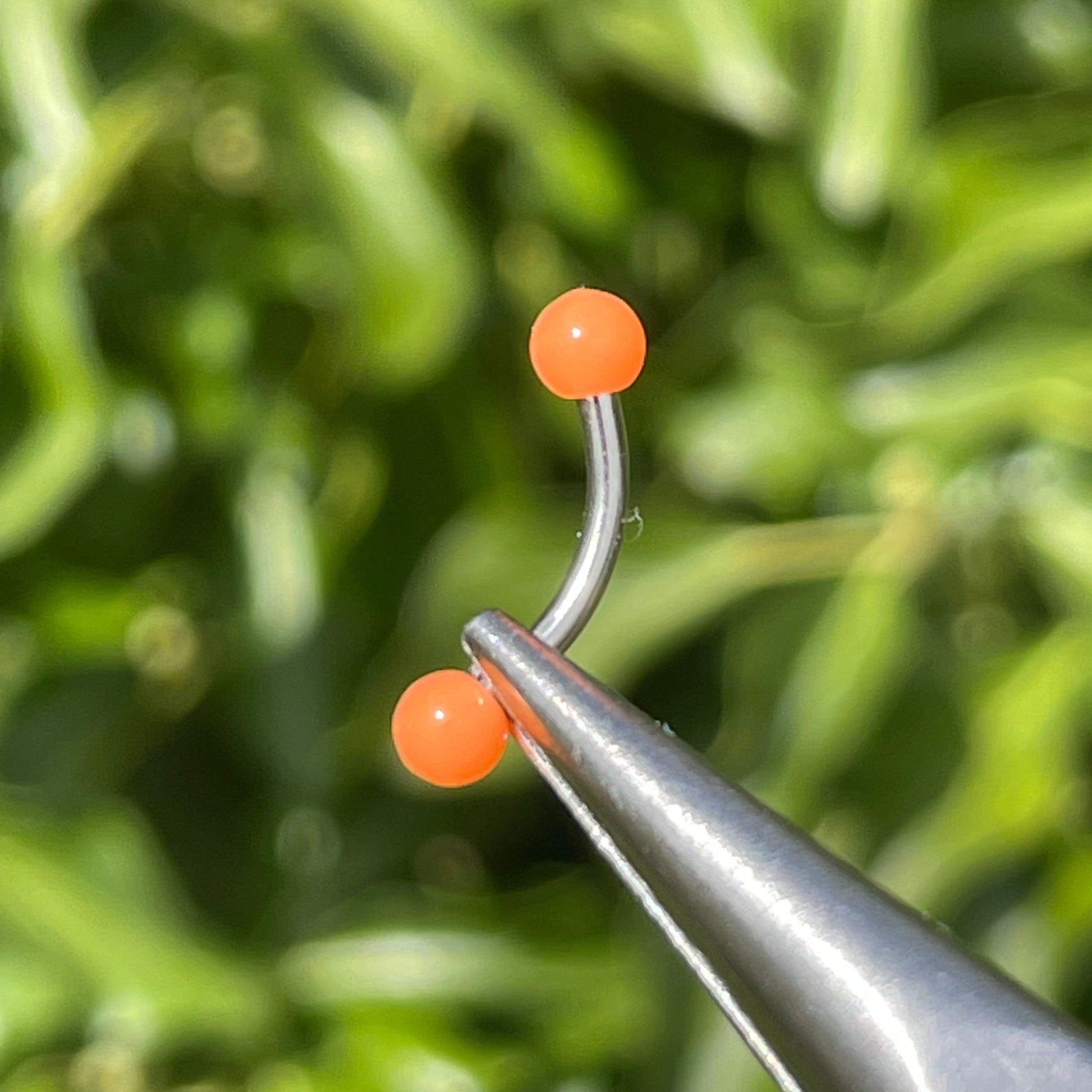 COLOURED BALL EYEBROW PIERCING